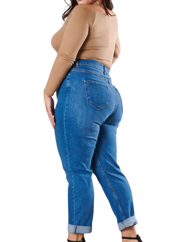 Classic High Waisted Ankle Jeans in Curvy